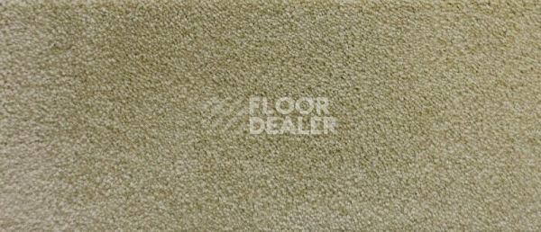 Ковролин Radici Lord Lime 245C фото 1 | FLOORDEALER